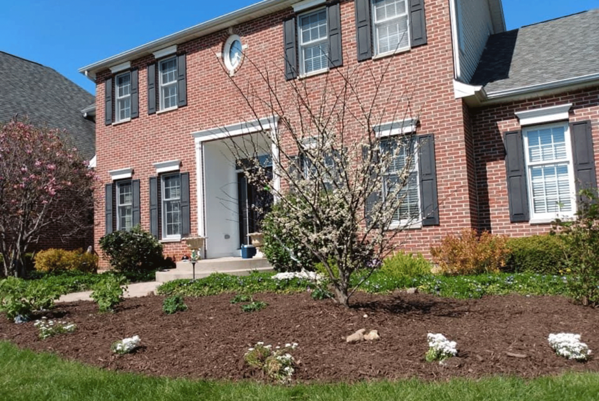 M&C Landscaping & Tree Service Banner-5